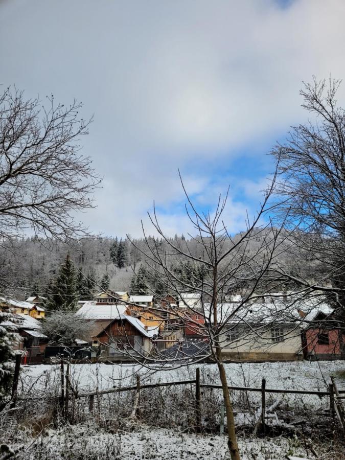 Apartamentul Florilor De Fan Azuga Esterno foto