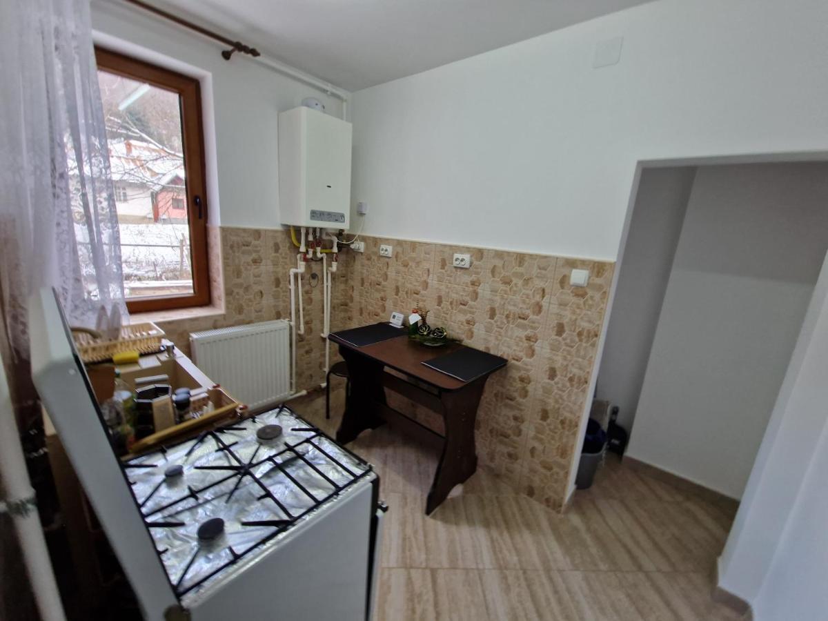 Apartamentul Florilor De Fan Azuga Esterno foto